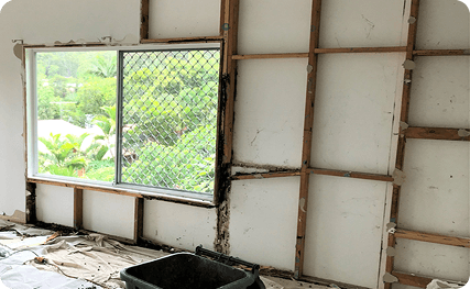 Termite Repair