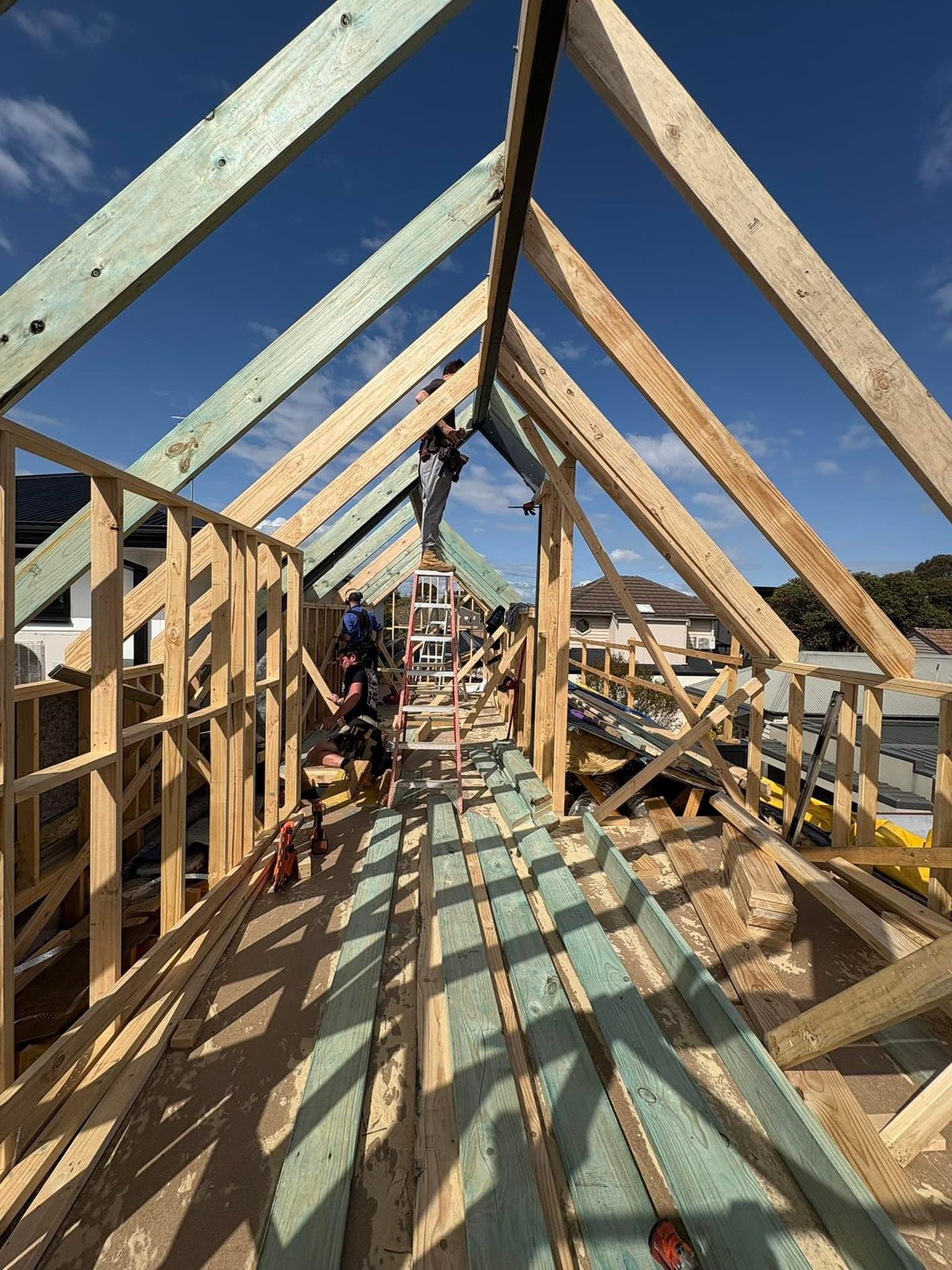 Harbour Build project, Homes